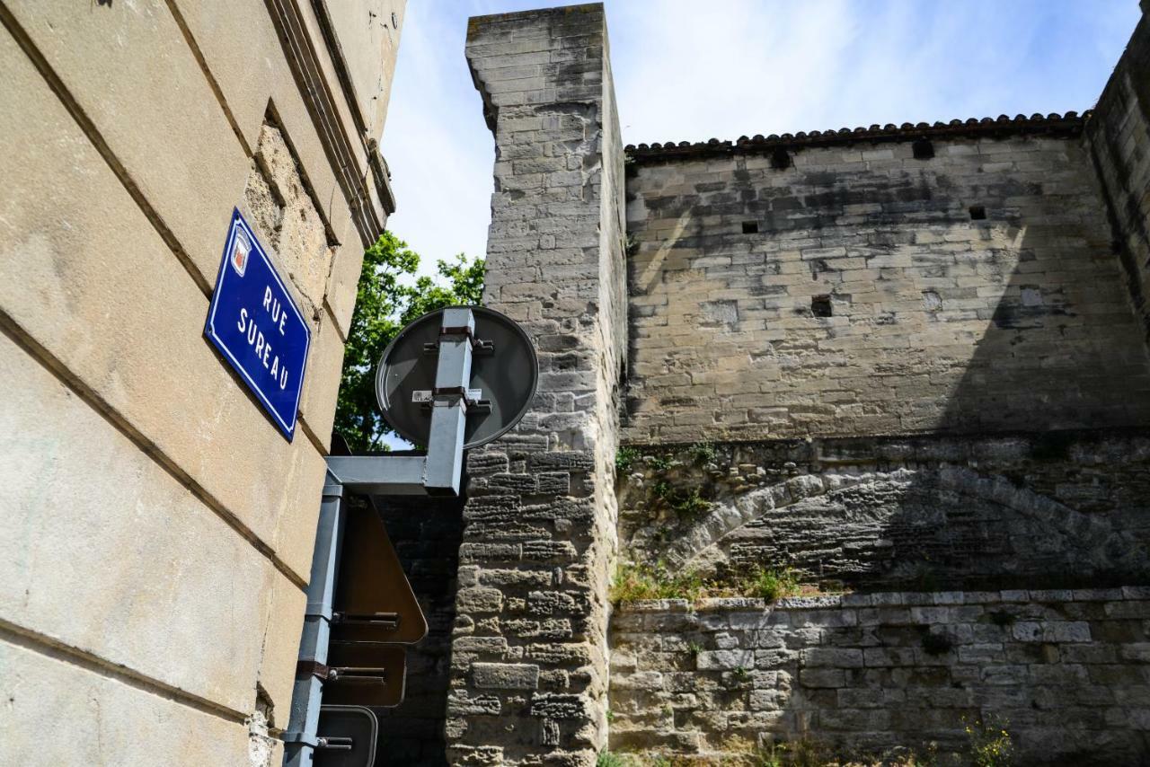 Le Sureau Apartment Avignon Ngoại thất bức ảnh